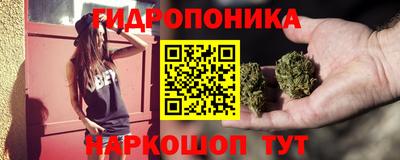 скорость Бийск