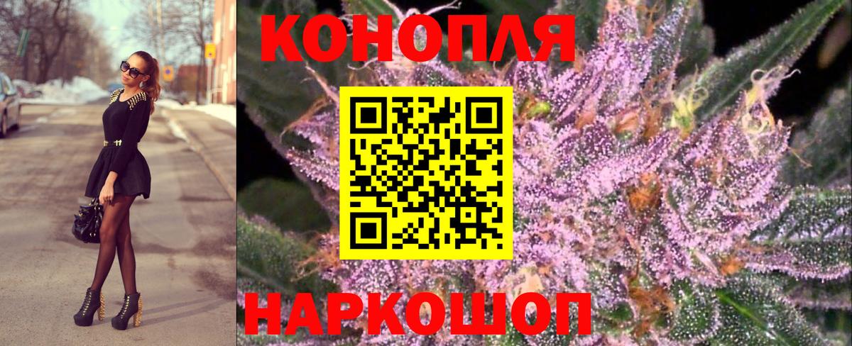 Бошки марихуана SATIVA & INDICA  Вход с VPN  МАРИХУАНА планчик  Канаш  Каннабис OG Kush 